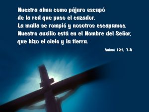 Salmo 123 (124),1-8. Miércoles 25 de Octubre de 2017.