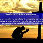 Dios y rey mío, yo te alabaré, bendeciré tu nombre siempre y para siempre. Un día tras otro bendeciré tu nombre y no cesará mi boca de alabarte.