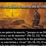 Evangelio San Lucas 20,27-40. Sábado 25 de Noviembre de 2017. Santa María Reina de los Apóstoles.