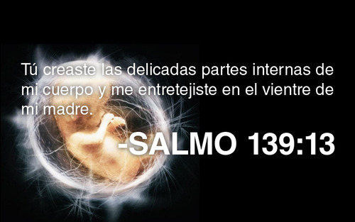 Salmo 138, 1-10. Lunes 13 de Noviembre de 2017. Misa por los Encarcelados.