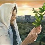 Evangelio San Lucas 21,29-33. Viernes 1 de Diciembre de 2017.