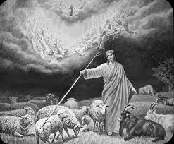 Evangelio San Mateo 25,31-36. Domingo 26 de Noviembre de 2017. NUESTRO SEÑOR JESUCRISTO, REY DEL UNIVERSO.