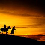 Salmo 84,9-14. Domingo 10 de Diciembre de 2017. II Domingo de Adviento.