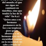 1a carta del Apóstol San Juan 2,3-11. Viernes 29 de Diciembre de 2017.