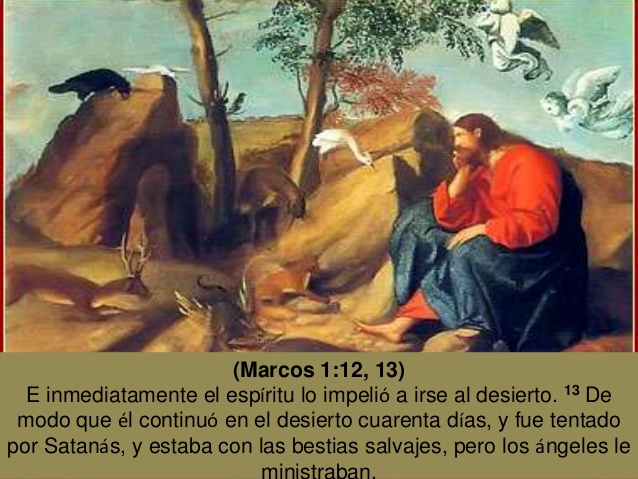 Evangelio San Marcos 1,12-15. Domingo 18 de Febrero de 2018.