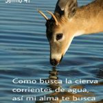 Salmo 41,2-3;42,3-4. Lunes 23 de Abril de 2018.