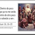 Evangelio San Juan 16,16-20. Jueves 10 de Mayo de 2018.