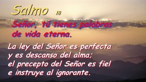 Salmo 18,10-15. Lunes 21 de Mayo de 2018.