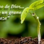 Evangelio San Marcos 4,26-34. Domingo 17 de Junio de 2018.