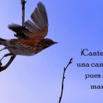 Salmo 97,1-6. Lunes 11 de Junio de 2018.