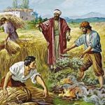 Evangelio San Mateo 13,24-30. Sábado 28 de Julio de 2018. Misa de Santa María Virgen.