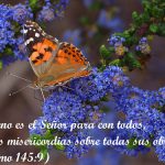 Salmo 145,1-6. Jueves 2 de Agosto de 2018. Misa Votiva De la Divina Misericordia.