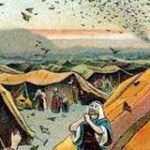 Salmo 77,3-4.23-25.54. Domingo 5 de Agosto de 2018.