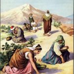 Gathering manna Exodus 16:14-16