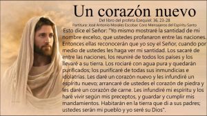 Del libro del Profeta Ezequiel 36,23-28. Jueves 23 de Agosto de 2018. Misa de Nuestro Señor Jesucristo Sumo y Eterno Sacerdote.