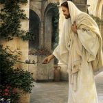 Evangelio San Lucas 12,1-7. Viernes 19 de Octubre de 2018. Misa de la Preciosísima Sangre de Nuestro Señor Jesucristo.