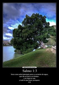 Salmo 1,1-6. Lunes 29 de Octubre de 2018. Por los Sacerdotes.