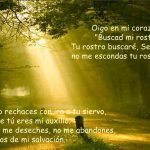 Salmo 26,7-9.13-14. Jueves 4 de Octubre de 2018-