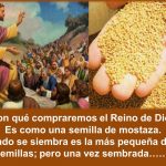 Cuando se siembra es la más pequeña de las semillas; pero una vez sembrada…….