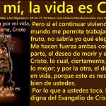 De la carta del Apóstol San Pablo a los Filipenses 1,18-26. Sábado 3 de Noviembre de 2018.