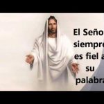 Salmo 145,6-10. Jueves 15 de Noviembre de 2018. Misa votiva de la Divina Misericordia.