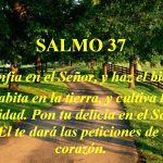 Salmo 36,2.18.23.27.29. Martes 13 de Noviembre de 2018.