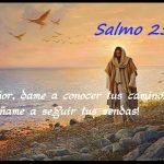 Salmo 24,4-5.8-10.14. Domingo 2 de Diciembre de 2018. Primer Domingo de Adviento.