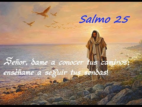 Salmo 24,4-5.8-10.14. Domingo 2 de Diciembre de 2018. Primer Domingo de Adviento.