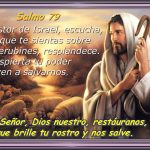 Salmo 79,2-3.15-16.18-19. Domingo 23 de Diciembre de 2018. IV Domingo de Adviento.- Feria Mayor de Adviento “O EMMANUEL” “OH, EMMANUEL”.