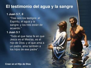 De la 1a carta del Apóstol San Juan 5,5-13. Viernes 11 de Enero de 2019.