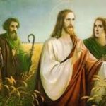 Evangelio San Marcos 2,23-28. Martes 22 de Enero de 2019. Misa Por la Unidad de los Cristianos.