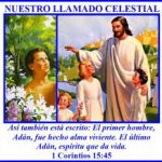 2a lect de la 1a carta del Apóstol San Pablo a los Corintios 15,45-49. Domingo 24 de Febrero de 2019.