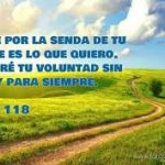 Salmo 118,12.16.18.27.34.35. Viernes 1 de Marzo de 2019. Misa del Sagrado Corazón.