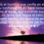 1a lect del libro del Profeta Jeremías 17,5-8. Domingo 17 de Febrero de 2019.