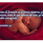 1a lect del libro del Profeta Jeremías 1,4-5.17-19. Domingo 3 de Febrero de 2019.