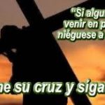 Evangelio San Lucas 9,23-26. Martes 5 de Febrero de 2019.