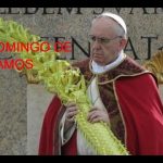 La bienvenida del mesías a mi vida. Domingo de ramos. Jn 12, 12-14