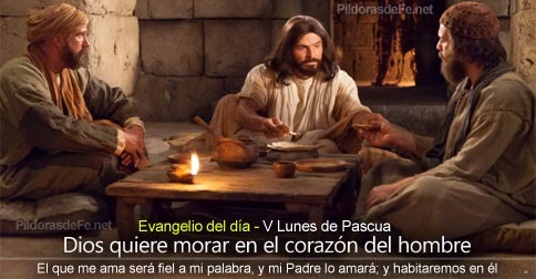 Evangelio San Juan14,23-29. Domingo 26 de Mayo de 2019.