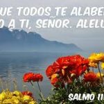 Salmo 113,1-4.15-16. Lunes 20 de Mayo de 2019.
