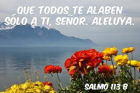 Salmo 113,1-4.15-16. Lunes 20 de Mayo de 2019.