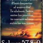 Salmo 56,8-12. Viernes 24 de Mayo de 2019.