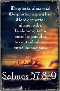 Salmo 56,8-12. Viernes 24 de Mayo de 2019.