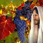 Evangelio San Juan 15,1-8. Miércoles 22 de Mayo de 2019.