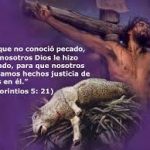 De la 2a carta del Apóstol San Pablo a los Corintios 5,14-21. Sábado 15 de Junio de 2019. Misa de Santa María Virgen.