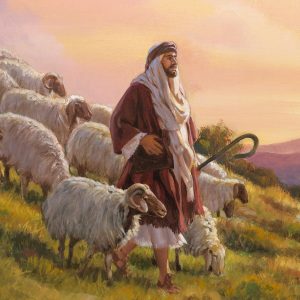 1a lect del libro del Profeta Ezequiel 34,11-16. Viernes 28 de Junio de 2019. Solemnidad EL SAGRADO CORAZÓN DE JESÚS.