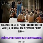 Evangelio San Mateo 7,15-20. Miércoles 26 de Junio de 2019. Misa Para fomentar la concordia.