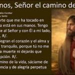 Salmo 15,1-2.5-11.Jueves 5 de Junio de 2019.