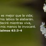 Salmo 62, 2-5.8-9. Domingo 23 de Junio de 2019.