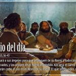 Evangelio San Mateo 13,36-43. Martes 30 de Julio de 2019.