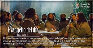 Evangelio San Mateo 13,36-43. Martes 30 de Julio de 2019.